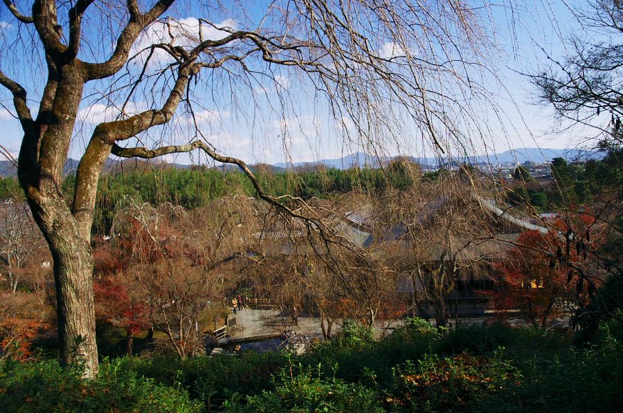 IMGP2888.jpg(606434 byte)