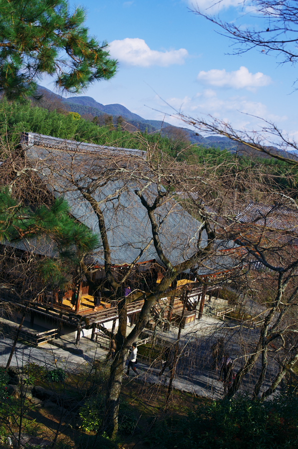 IMGP2890.jpg(523438 byte)