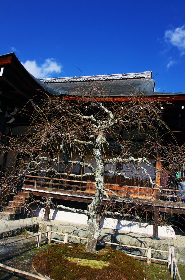 IMGP2896.jpg(488993 byte)