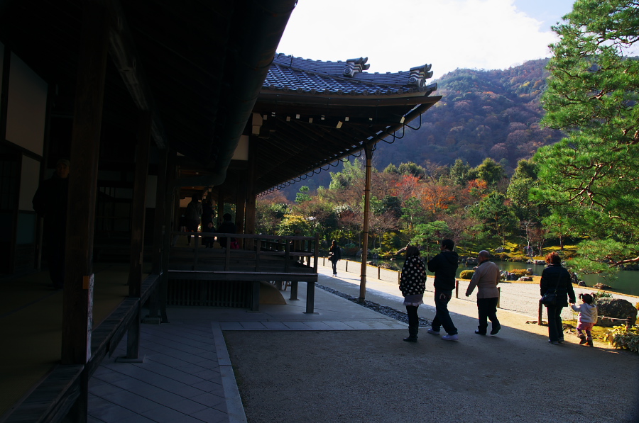 IMGP2907.jpg(321522 byte)