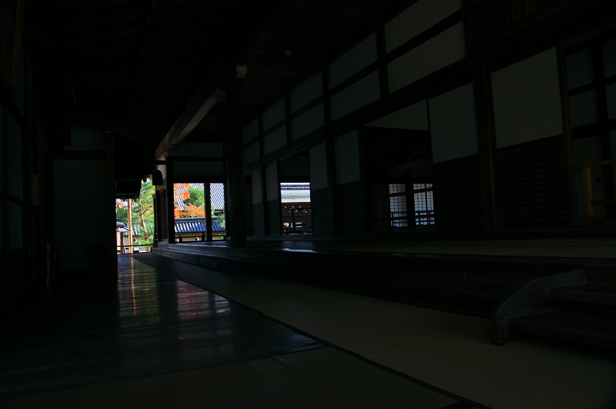 IMGP2909.jpg(138355 byte)