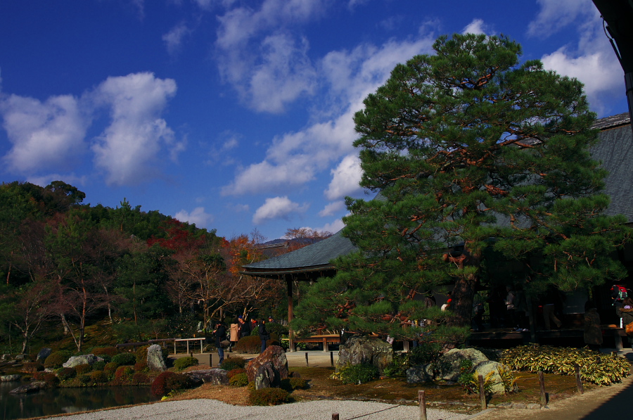 IMGP2913.jpg(383101 byte)