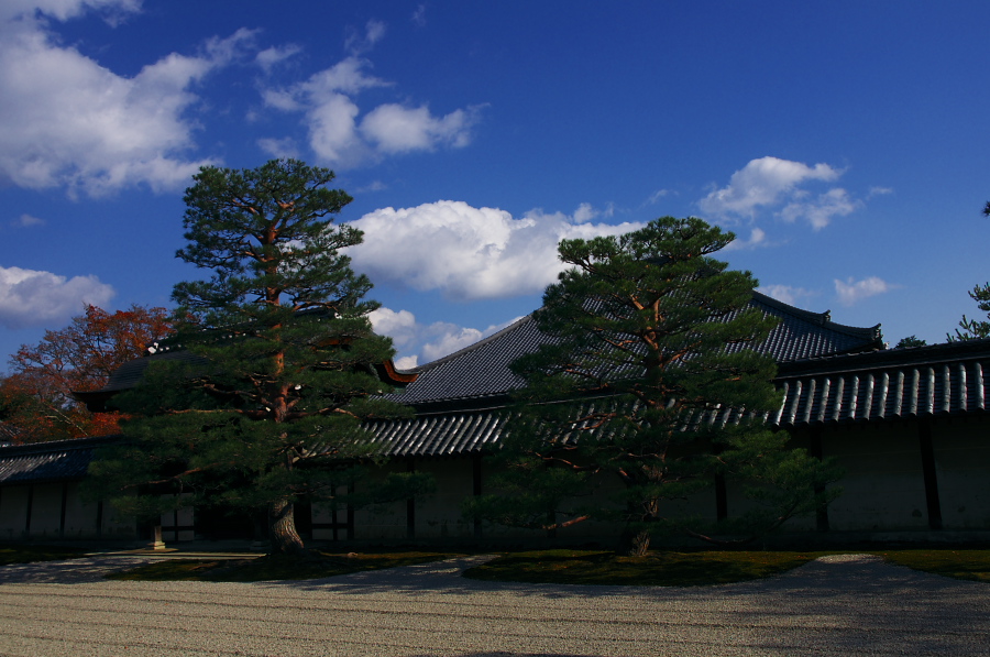 IMGP2917.jpg(307035 byte)