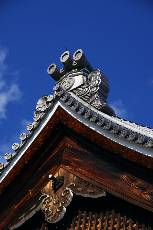 IMGP2923.jpg(295741 byte)