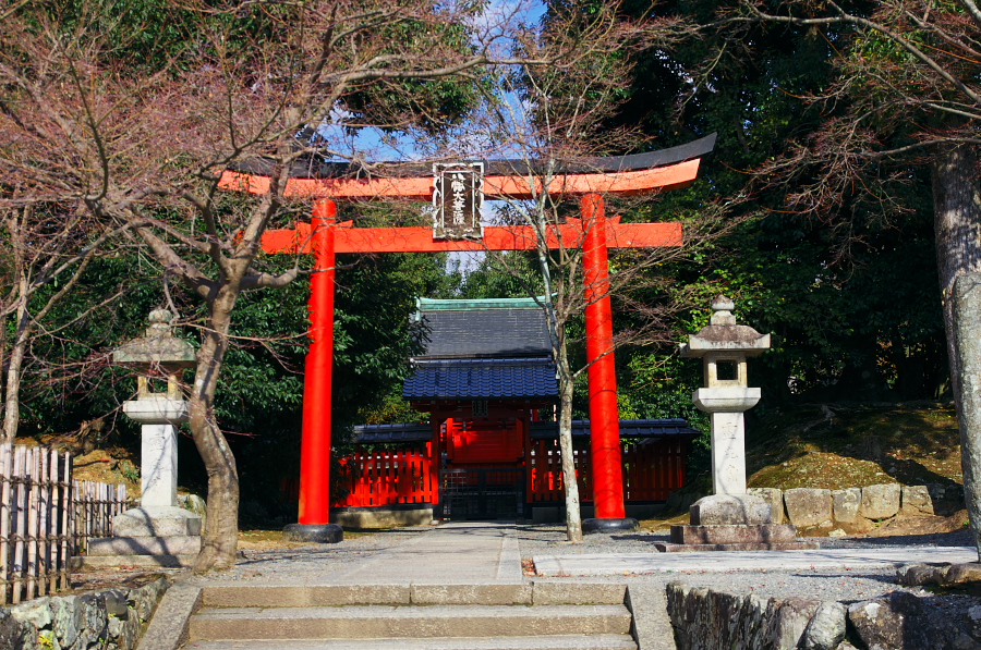 IMGP2937.jpg(577109 byte)