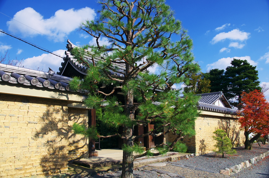 IMGP2939.jpg(521605 byte)