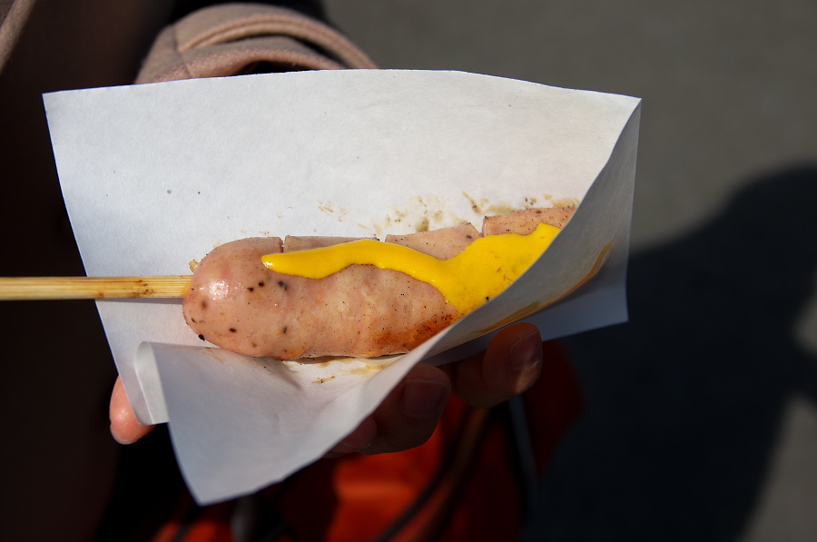 IMGP7049.jpg(170906 byte)