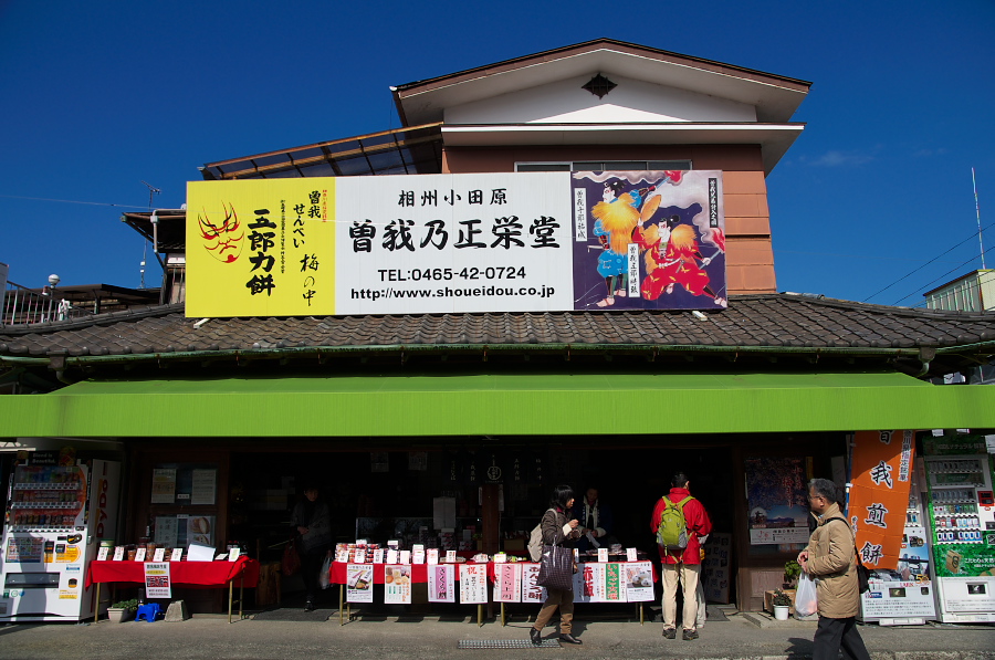 IMGP7075.jpg(337212 byte)