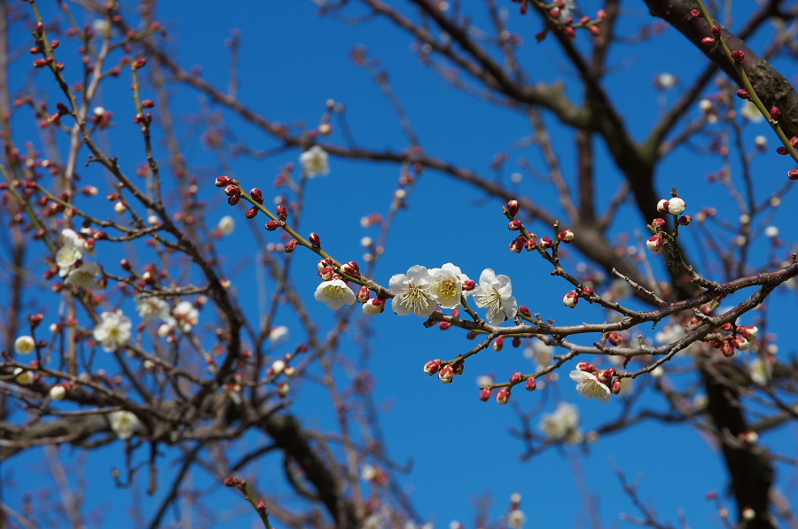 IMGP7140.jpg(300049 byte)