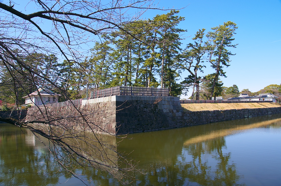 IMGP7435.jpg(544773 byte)