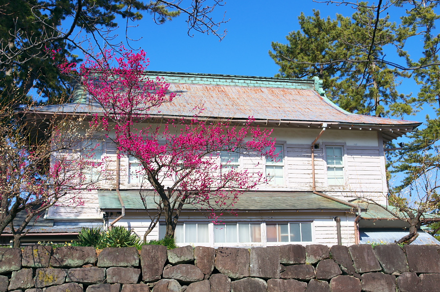 IMGP7447.jpg(607142 byte)