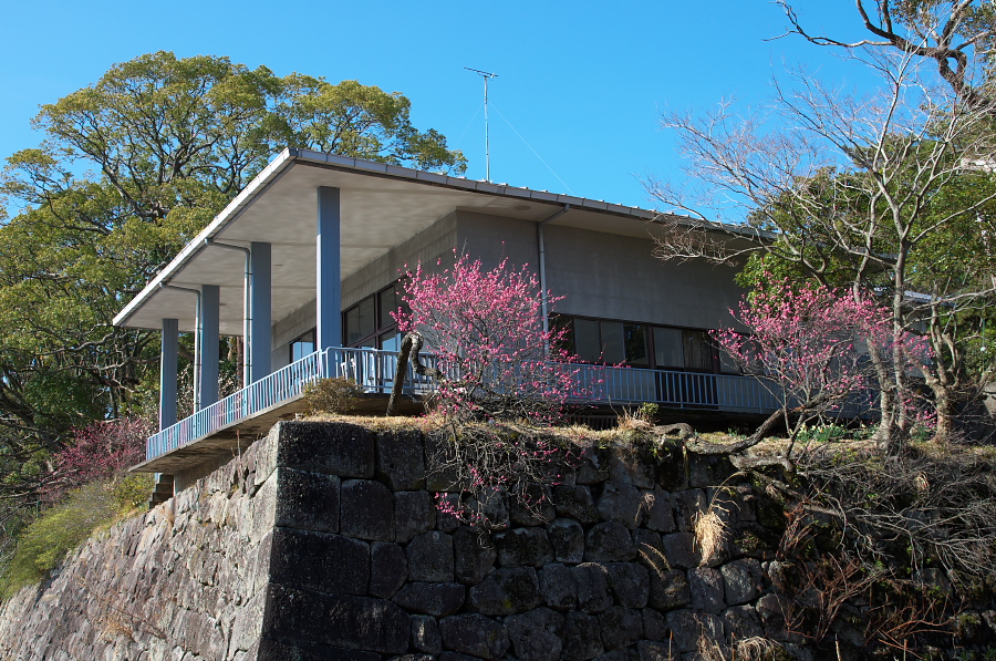 IMGP7461.jpg(518506 byte)