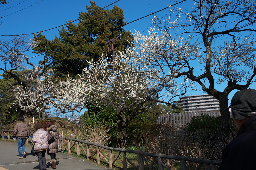 IMGP7464.jpg(600918 byte)