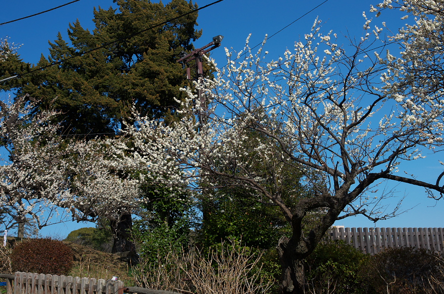 IMGP7469.jpg(647879 byte)