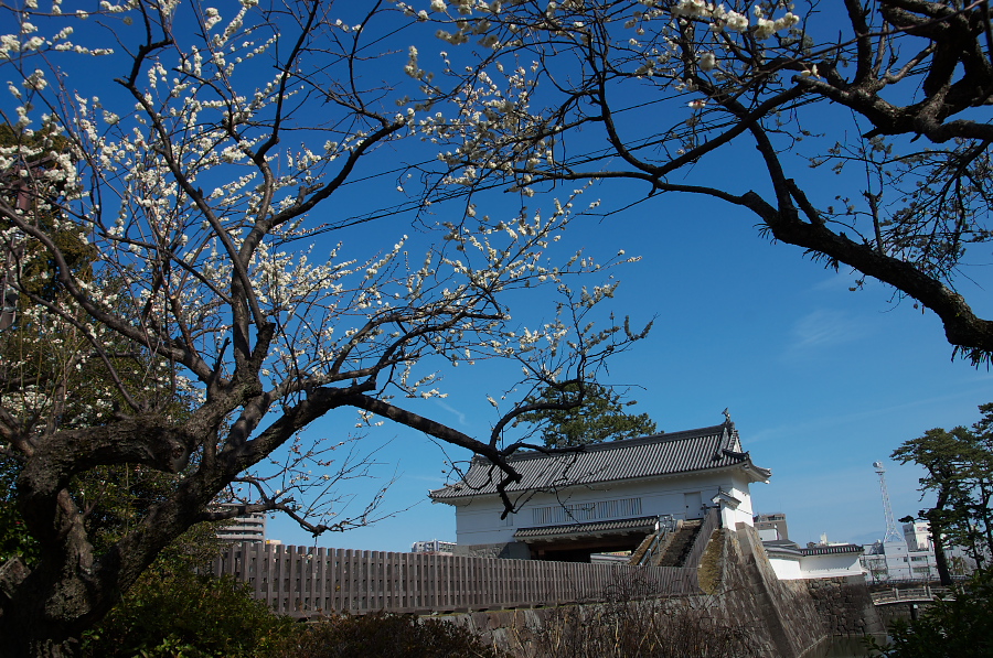 IMGP7471.jpg(547692 byte)