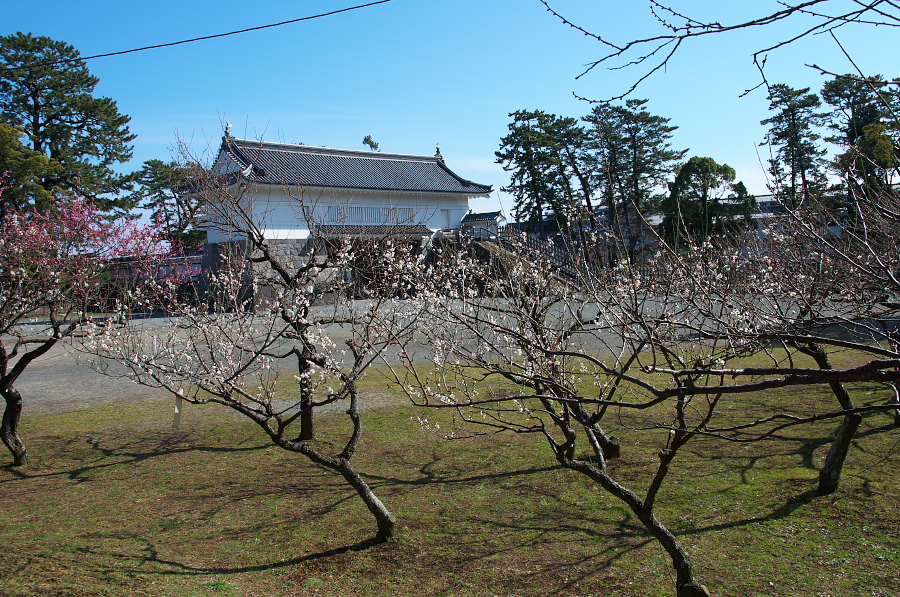 IMGP7485.jpg(581509 byte)