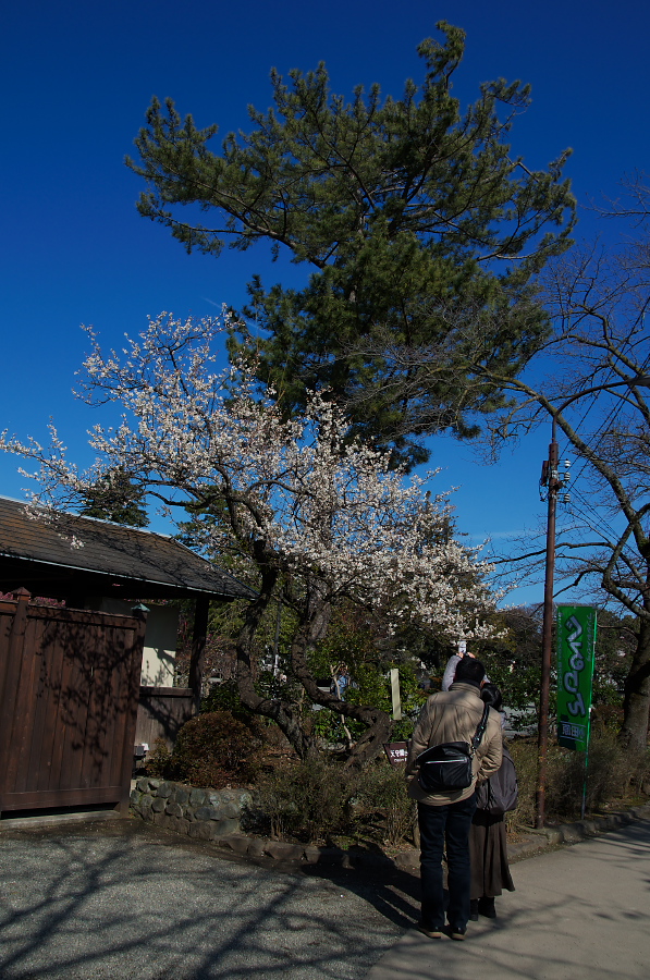 IMGP7487.jpg(463336 byte)