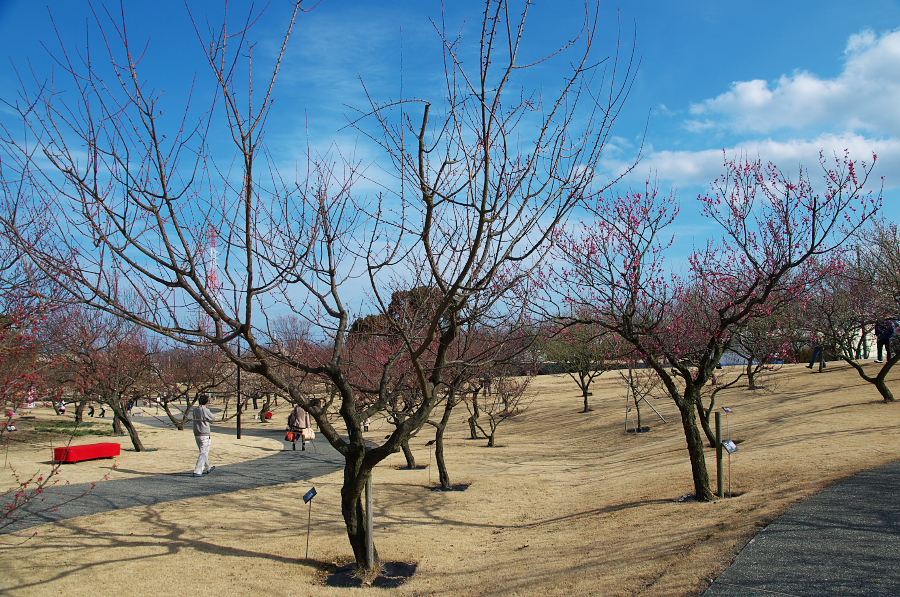 IMGP7491.jpg(547810 byte)