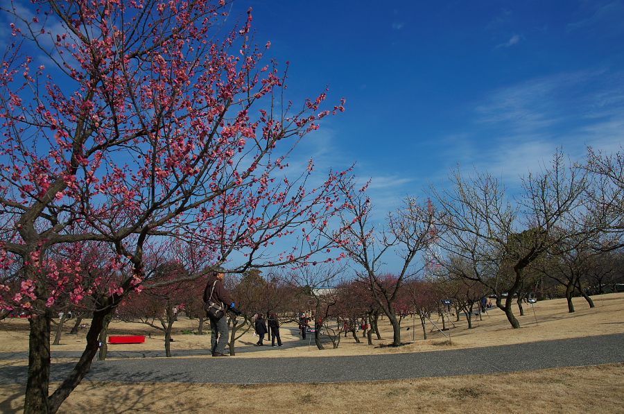 IMGP7495.jpg(510274 byte)