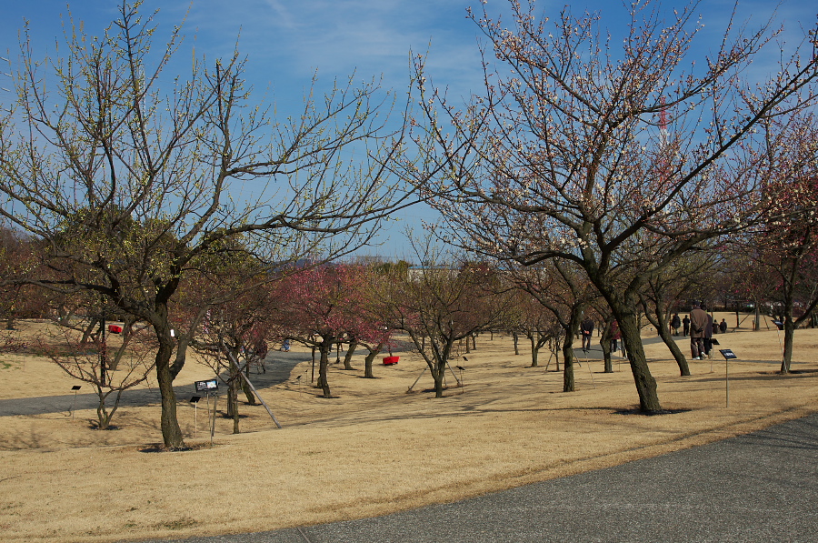 IMGP7505.jpg(575511 byte)