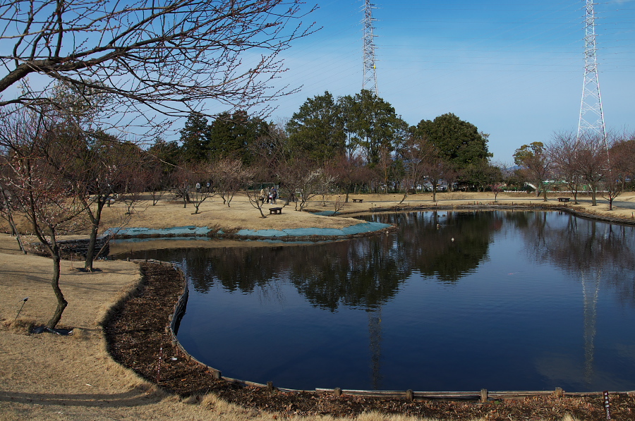 IMGP7545.jpg(450845 byte)