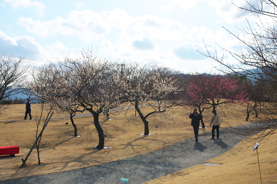 IMGP7558.jpg(430983 byte)