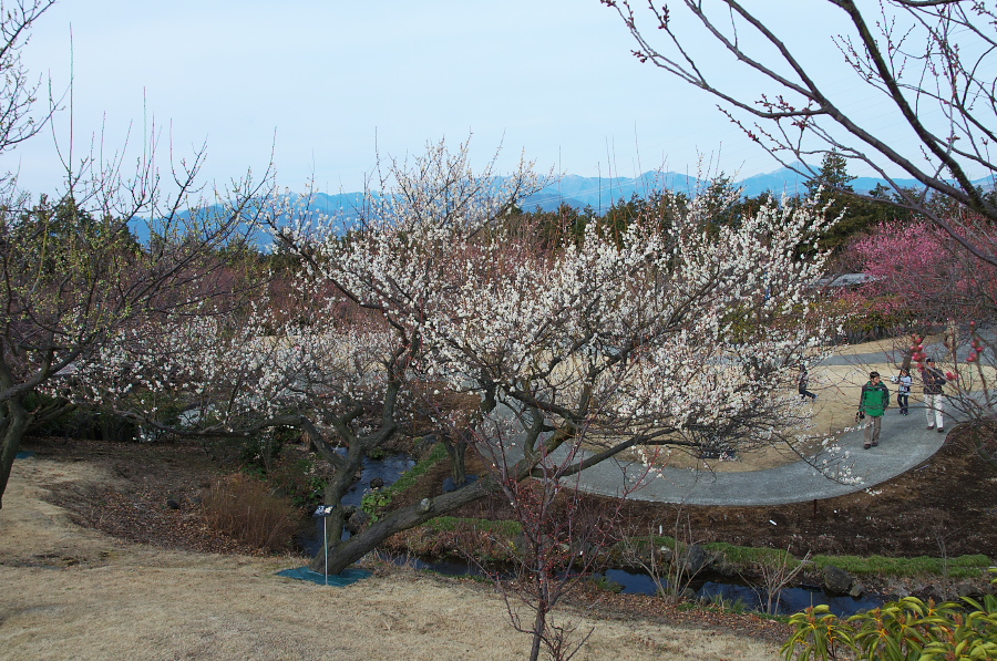 IMGP7582.jpg(509881 byte)