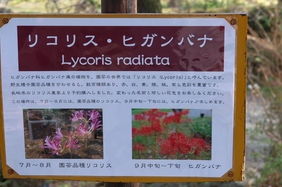 IMGP7604.jpg(304093 byte)