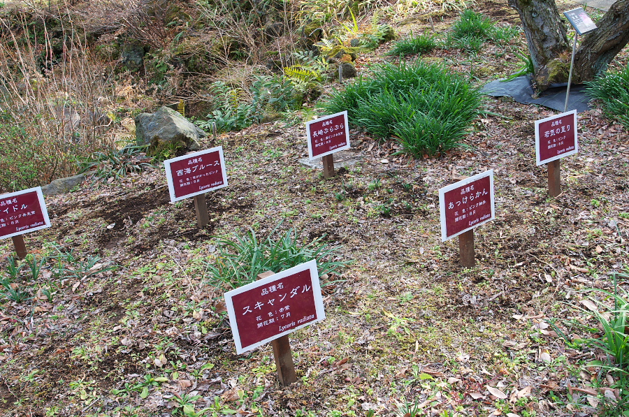 IMGP7608.jpg(753838 byte)