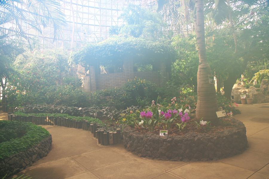 IMGP7613.jpg(413449 byte)