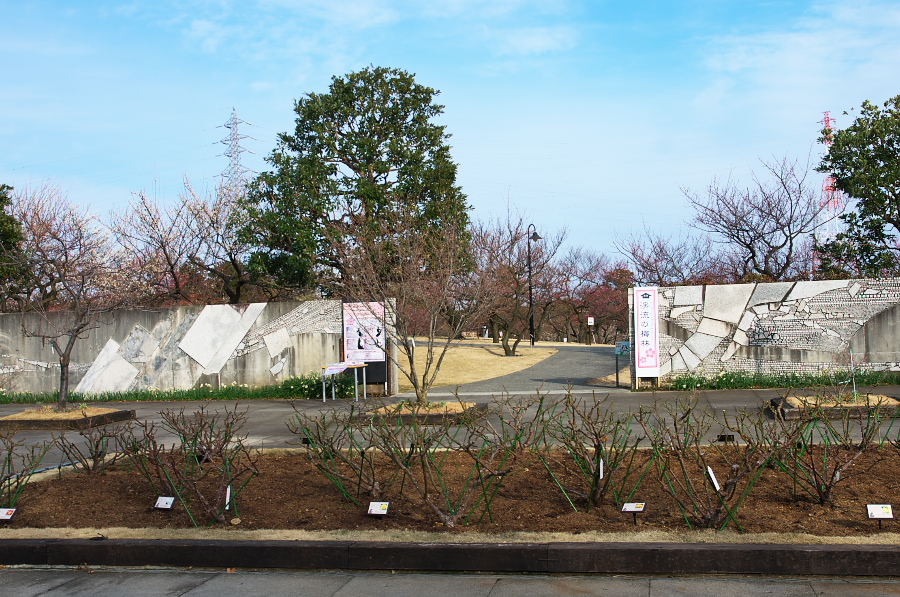 IMGP7617.jpg(467072 byte)