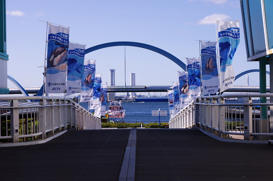 IMGP2762.jpg(289655 byte)