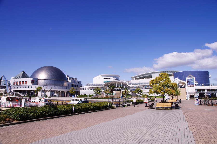 IMGP2769.jpg(312295 byte)