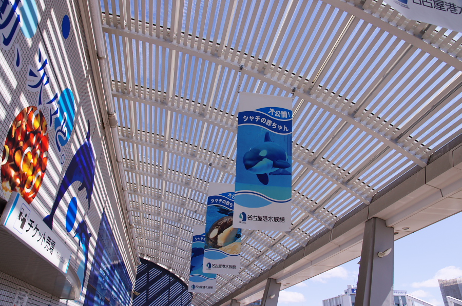 IMGP2777.jpg(468241 byte)