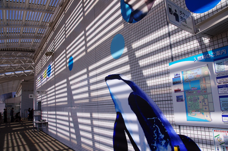 IMGP2781.jpg(469042 byte)