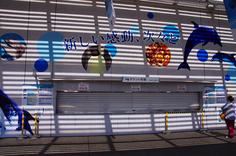 IMGP2786.jpg(444281 byte)