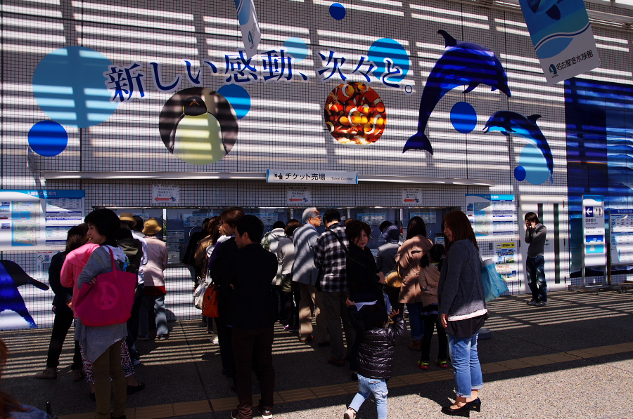 IMGP2788.jpg(448678 byte)