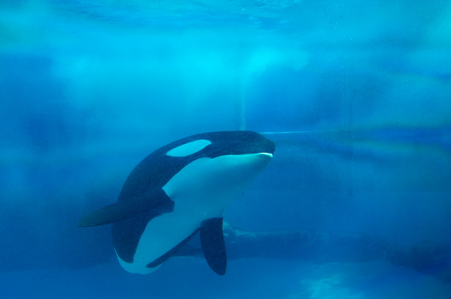 IMGP2802.jpg(191641 byte)