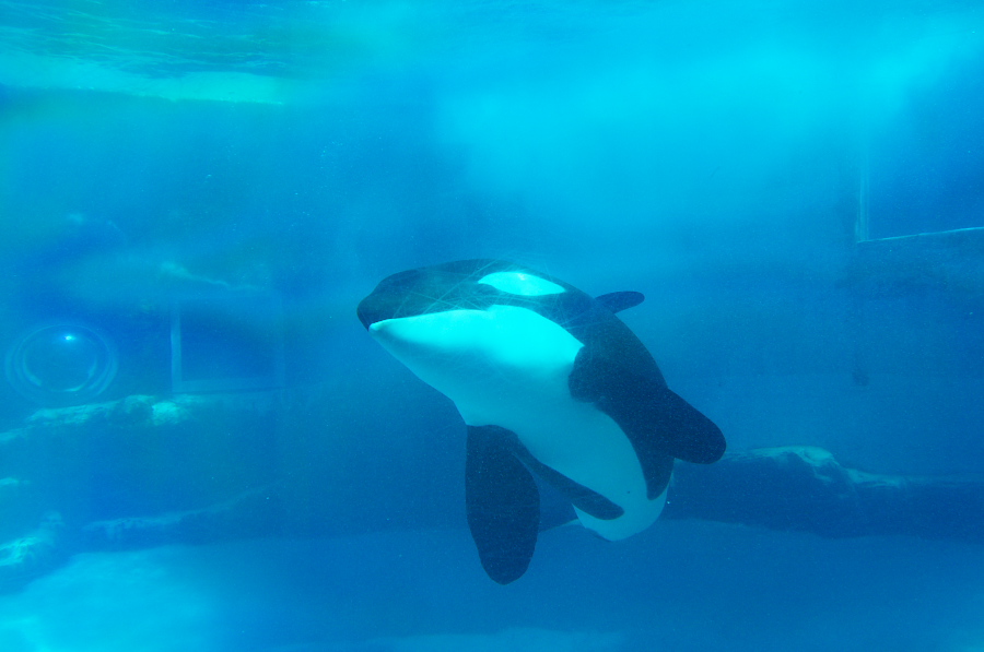 IMGP2804.jpg(188401 byte)