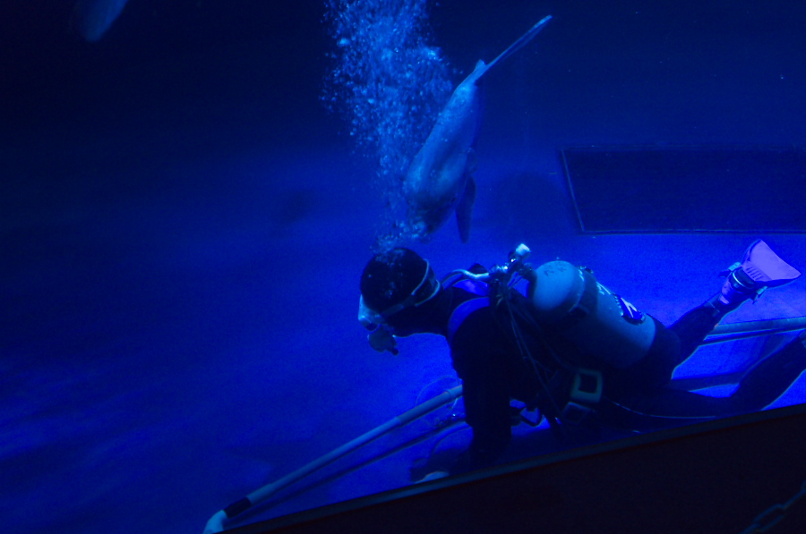 IMGP2823.jpg(208798 byte)