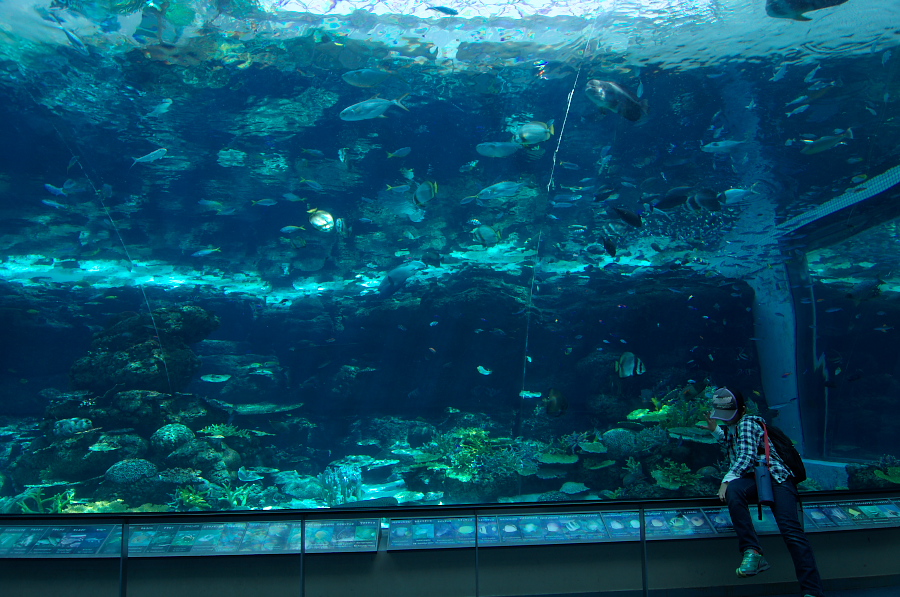 IMGP2875.jpg(411368 byte)