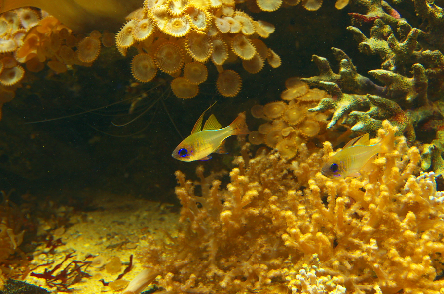 IMGP2880.jpg(439174 byte)