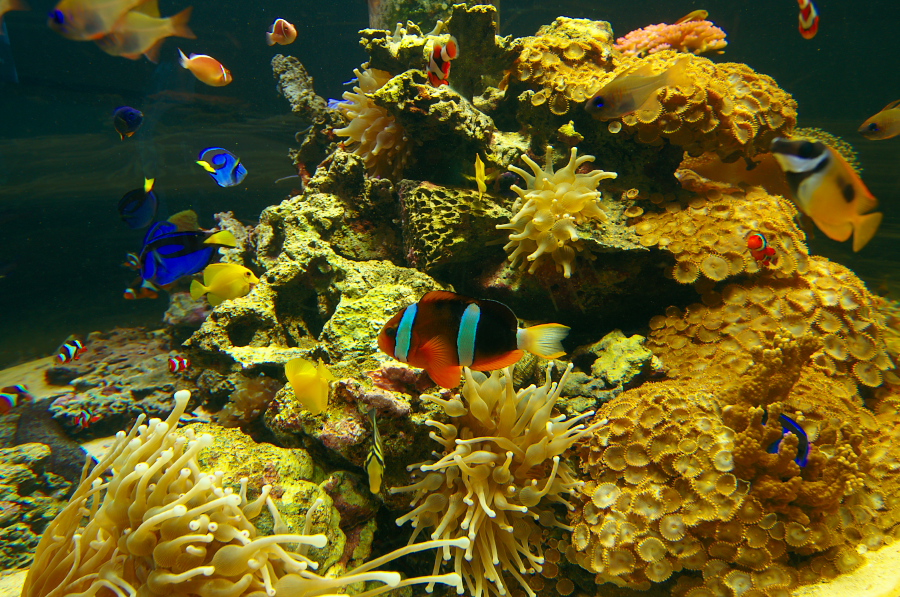 IMGP2890.jpg(546953 byte)