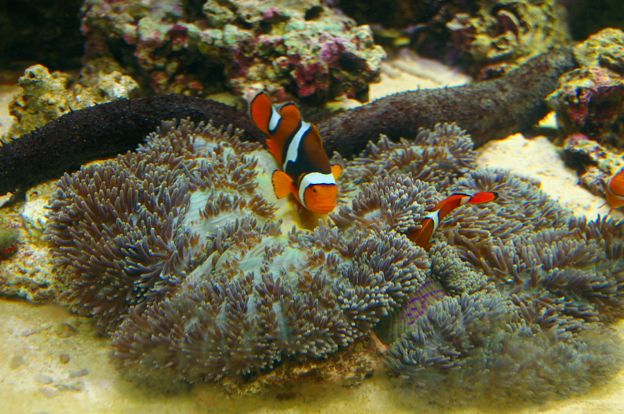 IMGP2894.jpg(477306 byte)