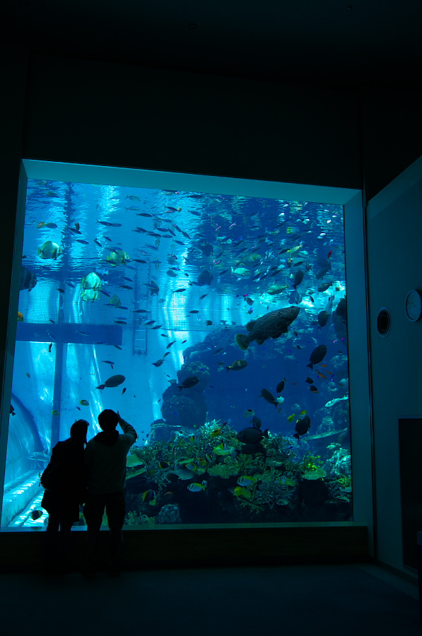 IMGP2898.jpg(266789 byte)