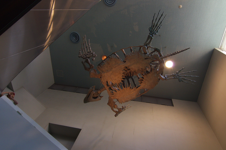 IMGP2901.jpg(259014 byte)