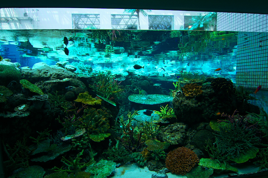 IMGP2904.jpg(530465 byte)