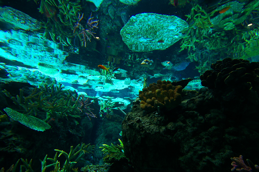 IMGP2911.jpg(459446 byte)