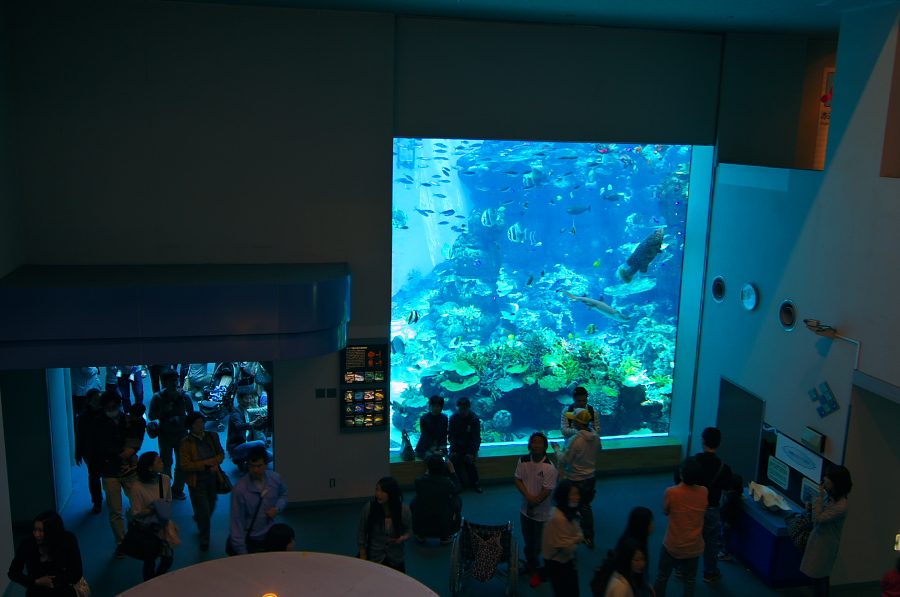 IMGP2925.jpg(268772 byte)