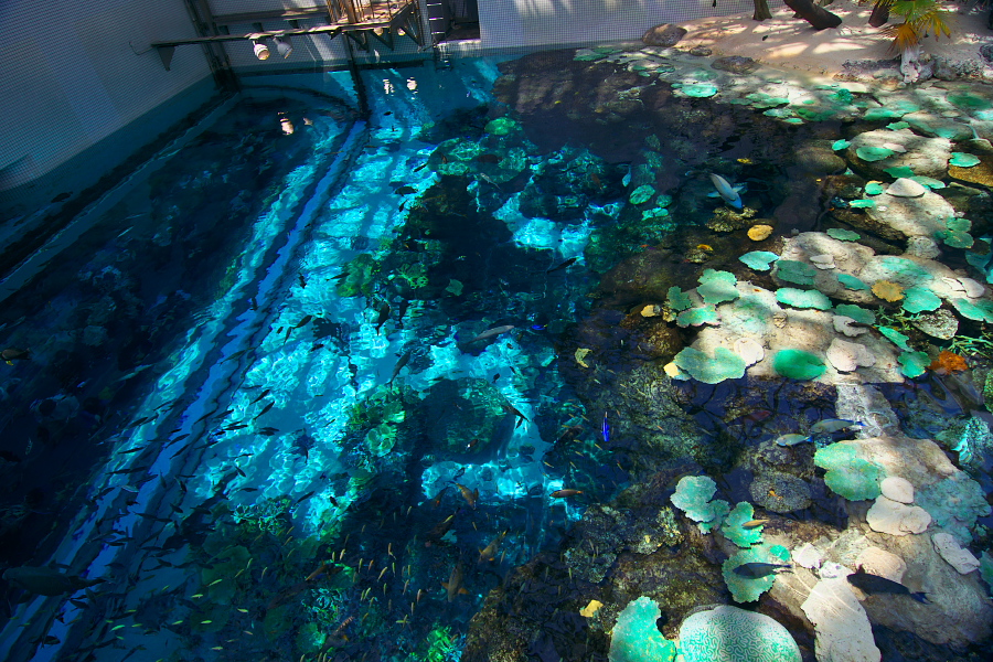 IMGP2930.jpg(532172 byte)